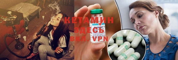 прущие грибы Аркадак