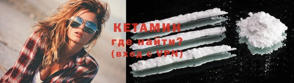 прущие грибы Аркадак